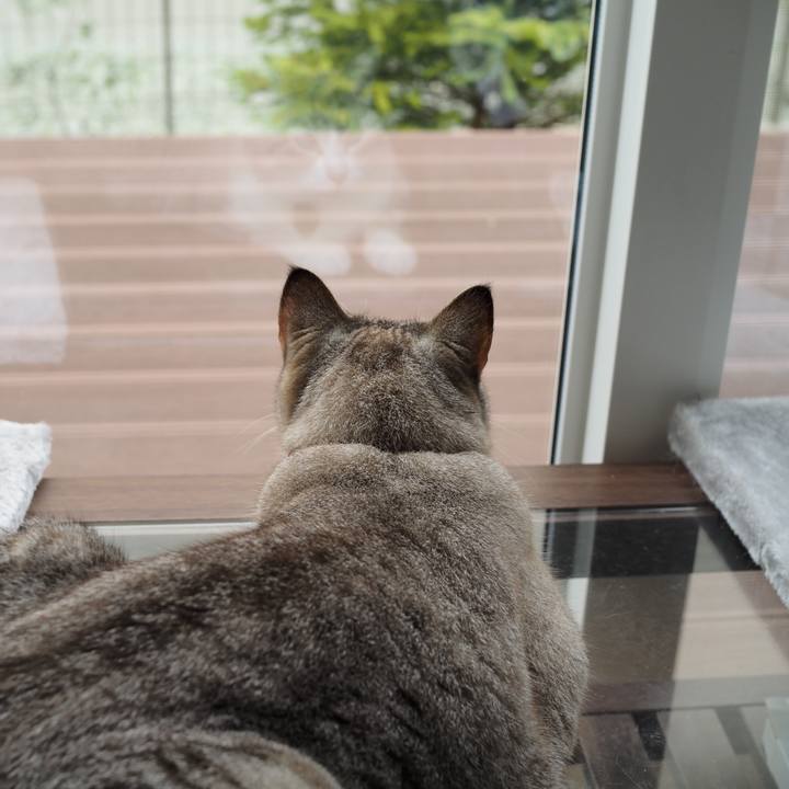 Accbc681 d743 4ec5 95fb e3eaed9005ff 1598076919686