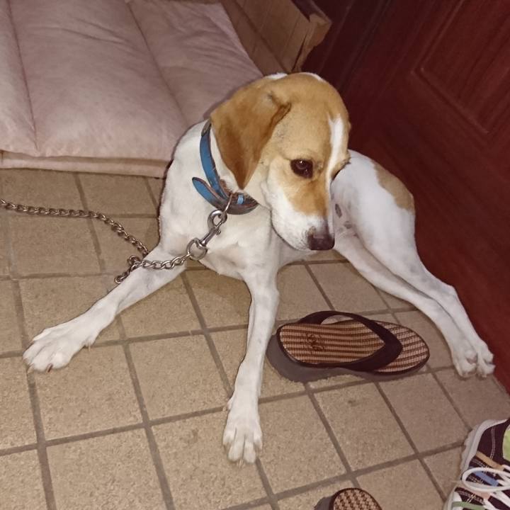 Accbd0ee 2805 470a bee1 fd27d073b6ac 1564403957590