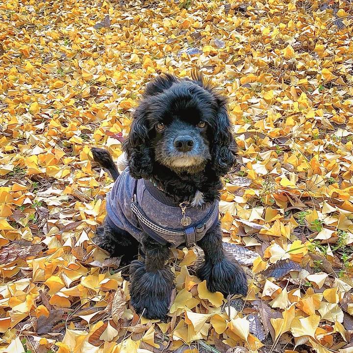 Accbd4f8 a23a 4e09 b1df c7db2470dcdf 1606623958886