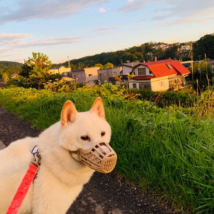 Accbd69a 022a 4154 8935 b0ec3fe2d298 1600553436945