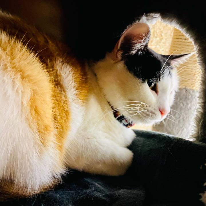 Accbe41c 45d7 4446 830e 36993729ae92 1668865980519