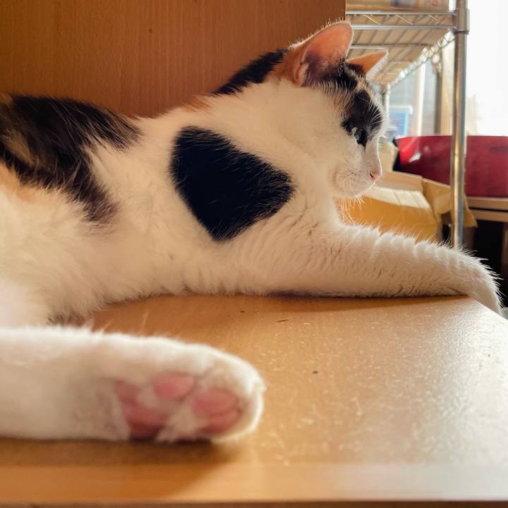 Accbf295 4611 485b 8d4f 04c14055fc79 1661996472988