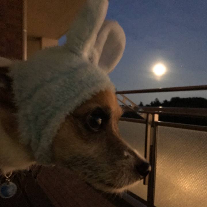 Accbfbdc df7c 417b bc12 ab2bfea40a99 1537783217249