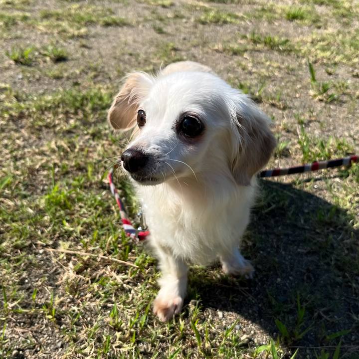 Accc2d96 d6ec 4317 9091 1fda247fd88a 1695277546178