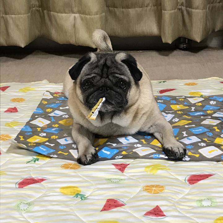 Accc551e 62f3 46c8 8c13 55c29991771c 1594035392322