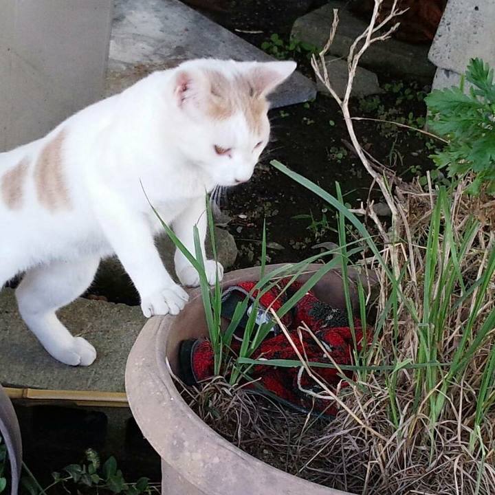 Accc73b0 5463 472f adf1 0f83bcf2a780 1510632587472