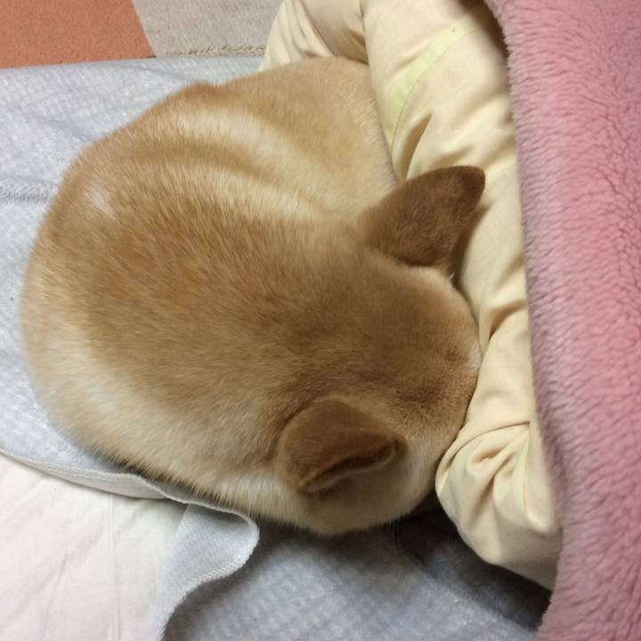 Accc9a84 8cb3 4f69 a500 f40879dfb9d0 1552391287549