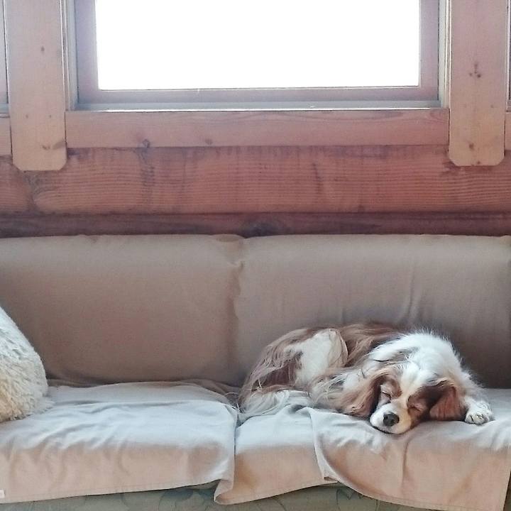 Accc9f93 9cce 449e aa64 bdb4d9a9f62a 1513996093785