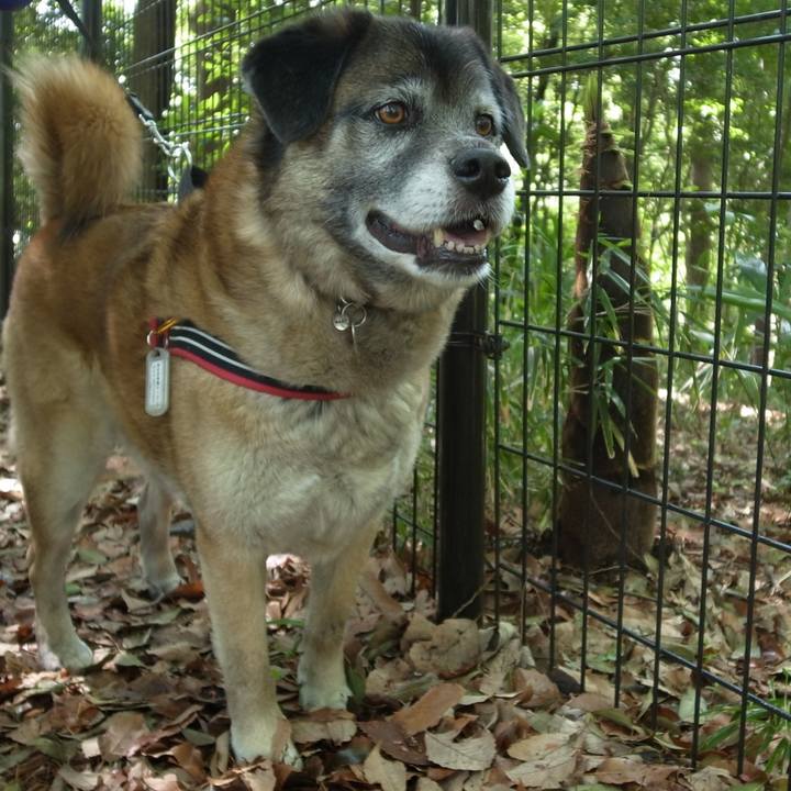 Acccae0f d371 4712 8998 4c6b83dc0e8e 1604795201252