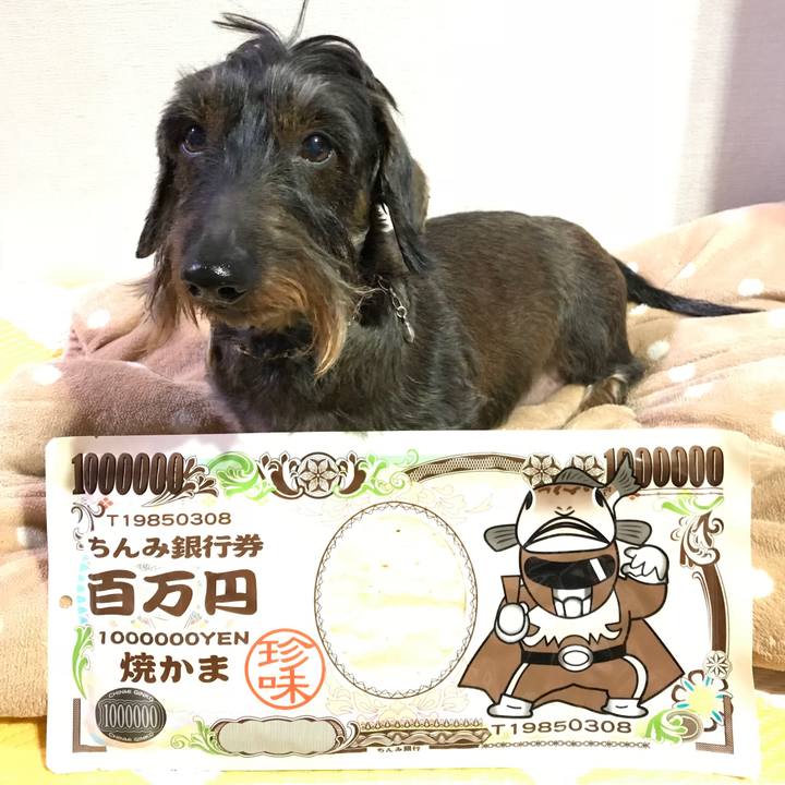 Accce128 1e7b 4b89 828d 9fe18753b46a 1514367583428