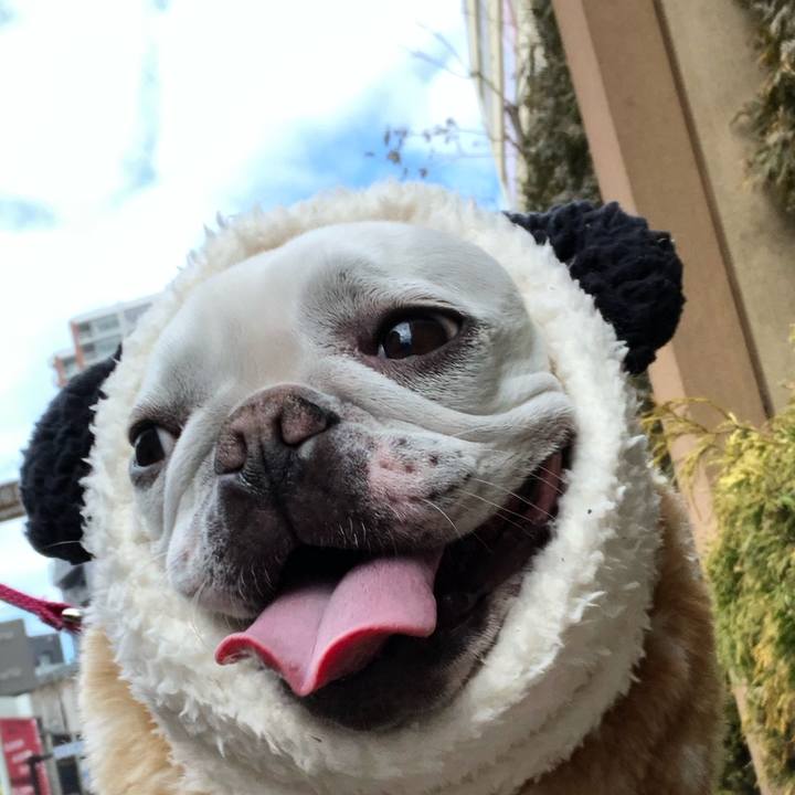 Accce2a2 b0d7 4f23 9f23 c77c9a038174 1550374590595