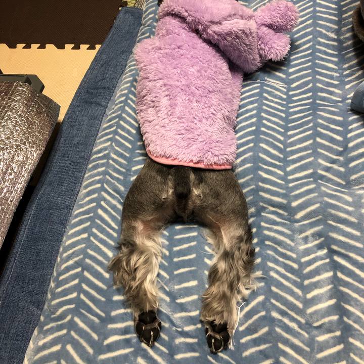 Accd1deb 8ce7 4376 8426 7d6eea9e4ed3 1672582229188