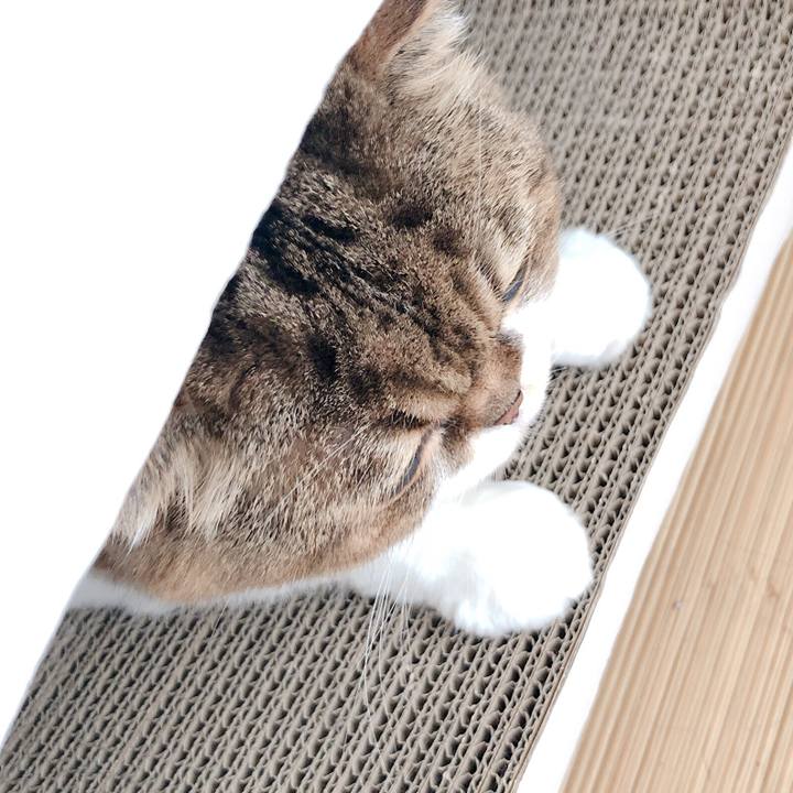 Accd1e83 12c7 488f 82ae a8d032277f9f 1566871096627