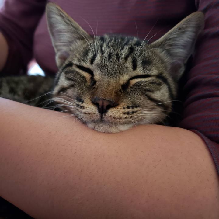 Accd30f0 0093 457e 8f2b 9980f2fbae8b 1543116739273