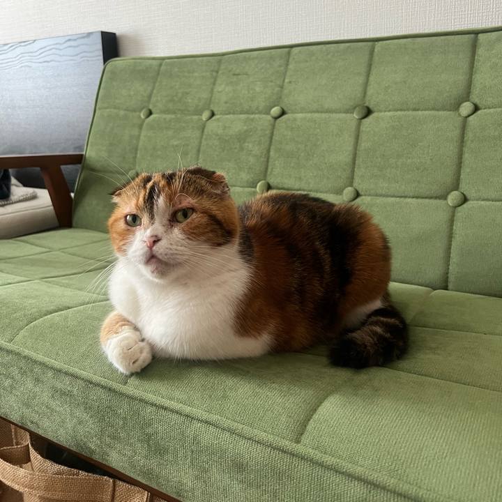 Accd6ce2 780c 4e65 a5af 7658500f4e75 1695699826524