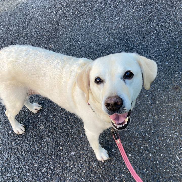 Accd761f 0b68 493f a922 c0b5d354ad6d 1716203525830