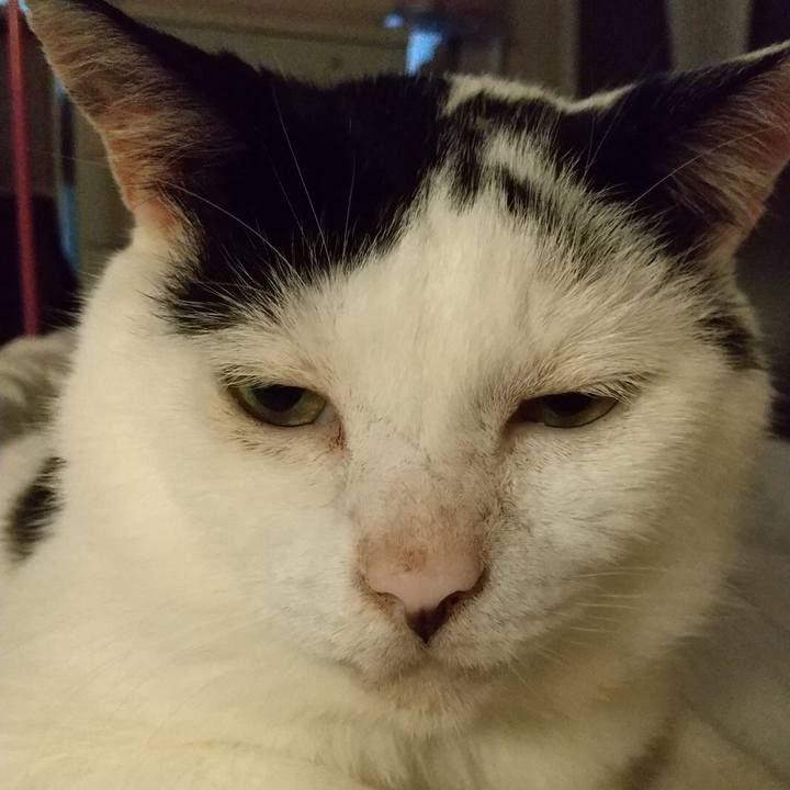 Accd8cd7 81ac 4e9a b4ac 64e3721d6a17 1599555381617