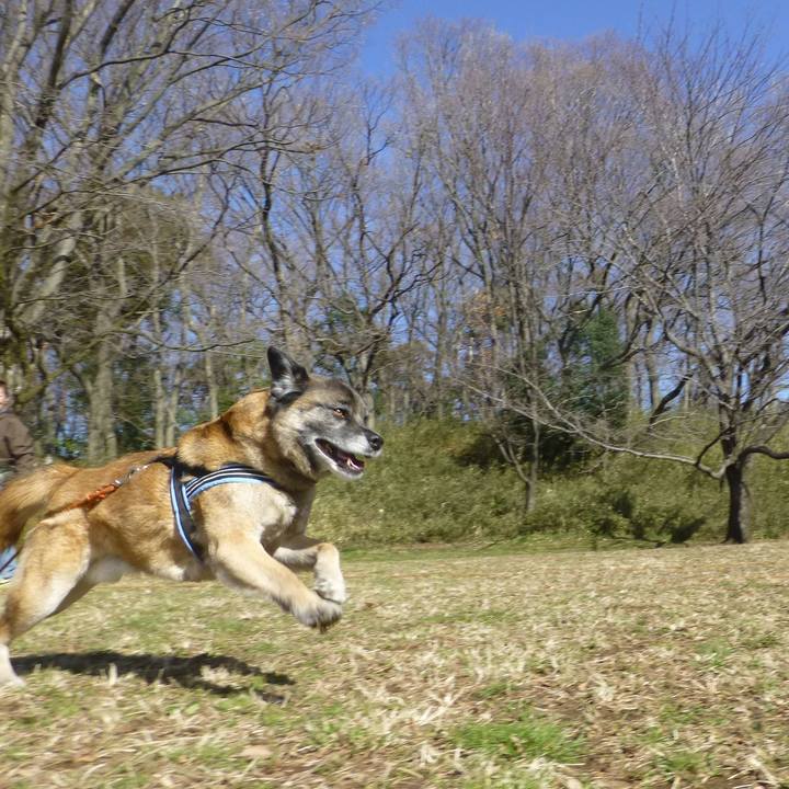 Accda909 be82 465f 99e0 0cdba90fc405 1579568986800