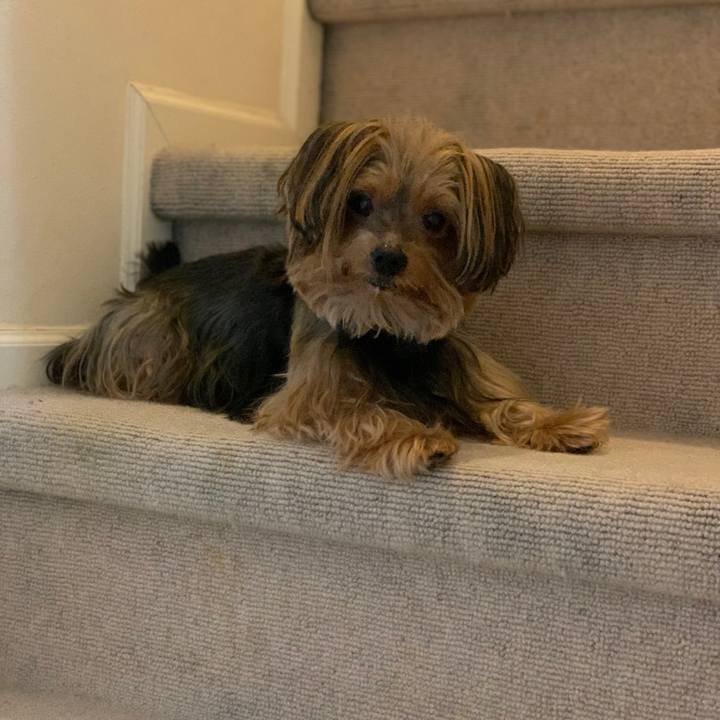 Accdedfa 9682 44a8 a4a1 a1cb94e9fabd 1570191949466