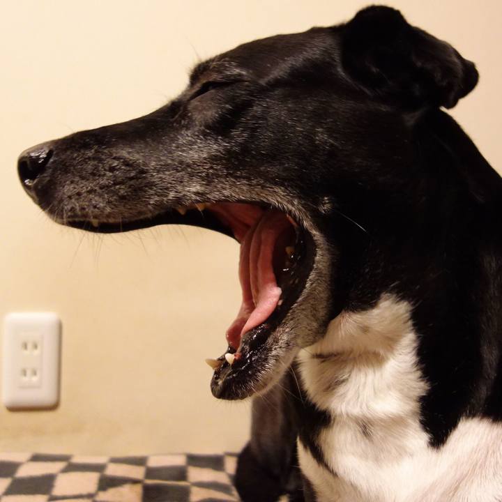 Acce0946 86de 4400 af75 6f0e8bfcc02f 1732617580972