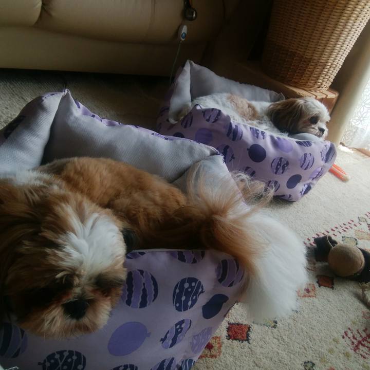 Acce0d6c 276f 42ad a5dd c93278292429 1566434984651