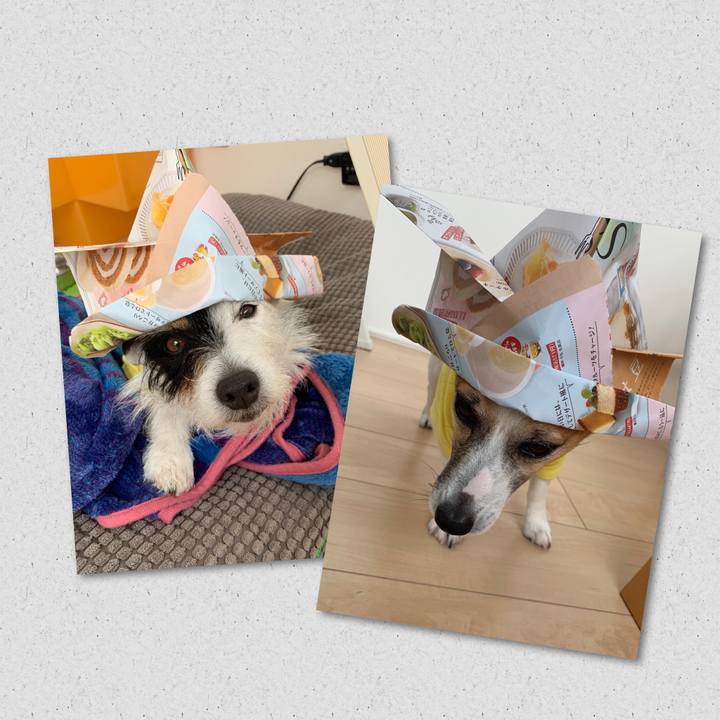 Acce139e c56f 4006 9395 32763966ff47 1557191972609