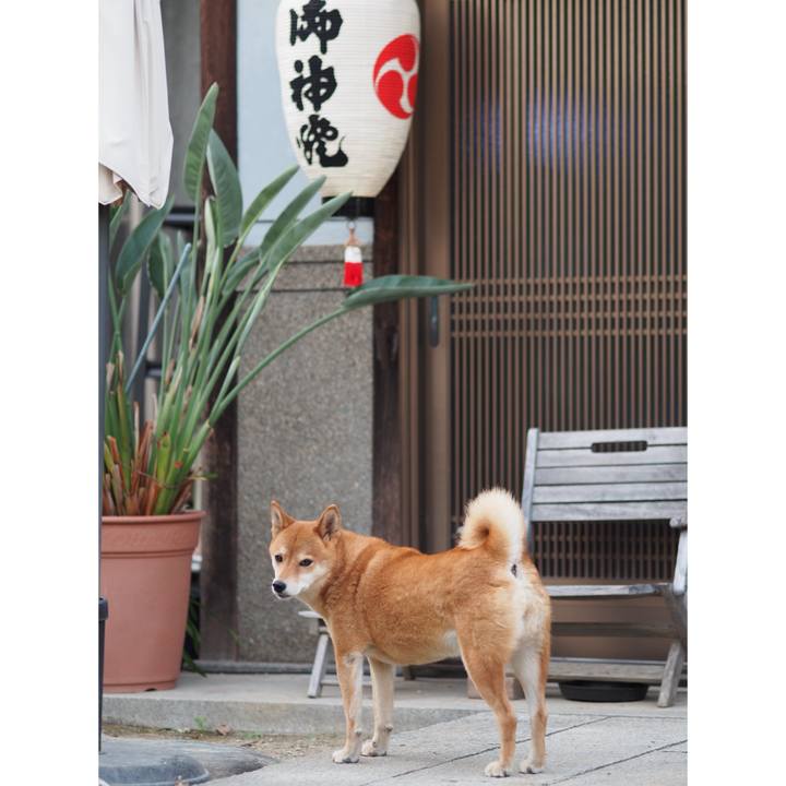 Acce3362 53ff 4a4b a588 2b2411e378be 1760258026274