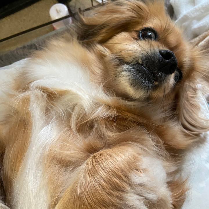 Acce4d19 58e8 44b5 8ff8 16ca8a13e19d 1619560617593