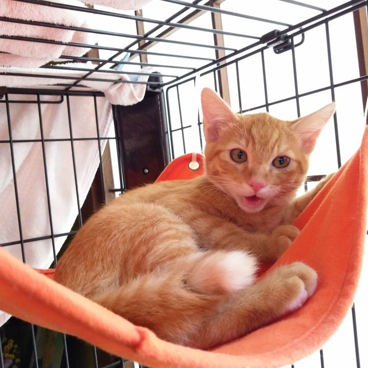 Acce72c0 5098 49ce a2ed 299bc048e5fc 1608430292162