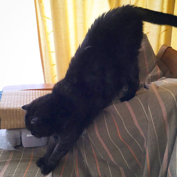 Acce96a4 35c2 4a15 a413 53f59e8de13a 1587205002712