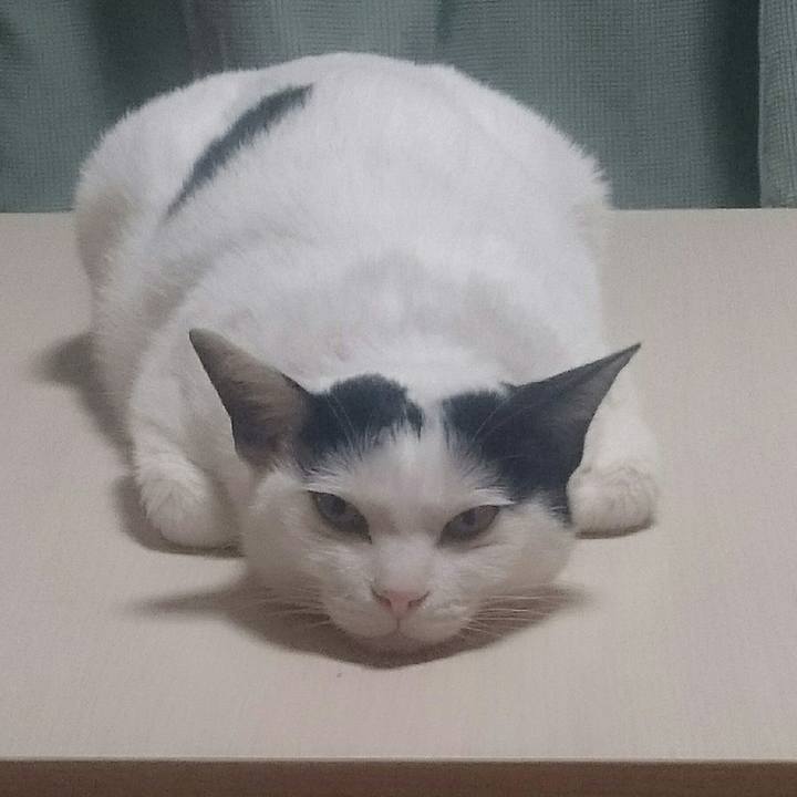 Acceac00 6712 42b5 b677 748b77f5ea31 1518519627245