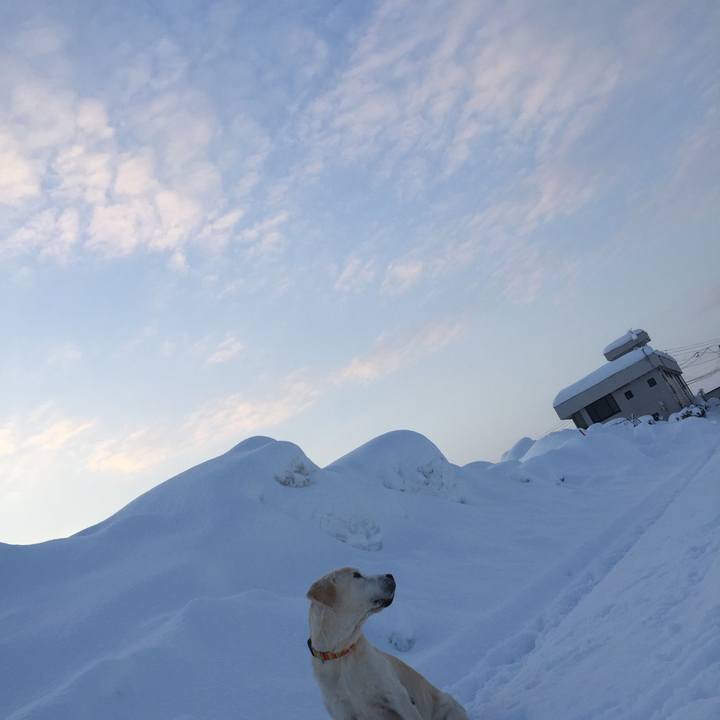 Accee02e 3691 45c9 95a5 63495aab1e40 1518138280296