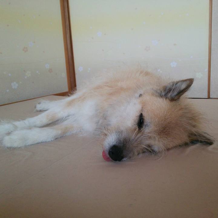 Accf4ffc 9bbb 4f9b b87f 3ca53fab7ea1 1533512208143