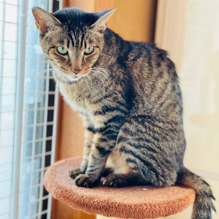 Accf61f8 936b 4e55 a543 dbe15e7ba6c6 1608688282357