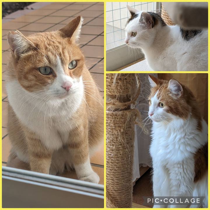 Accf7dfc 1f0b 4995 89e1 8542ac778bf7 1702213717936