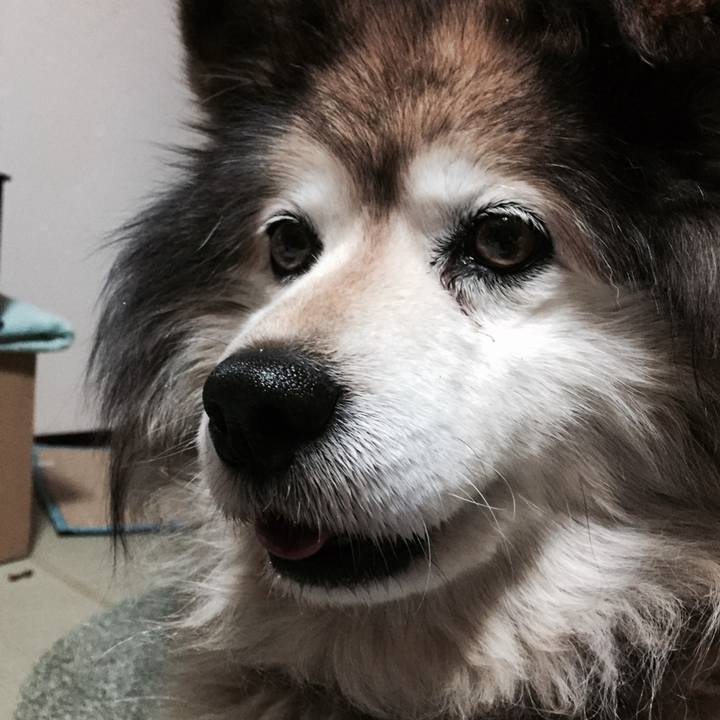 Accf8cf4 a9b3 44a3 95bf 2fc8427a53b1 1618192289583