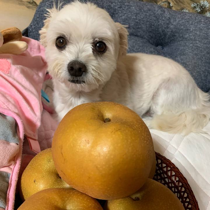 Accfa5de dbb5 4044 bd2c b7bb36786770 1630759856927