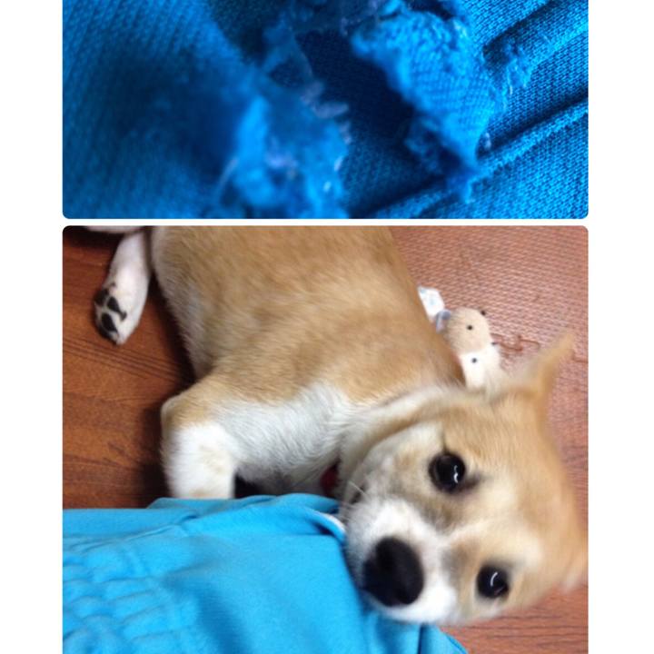 Accfc274 bec8 4f7c 8dc5 843be85fa3a1 1561416565559