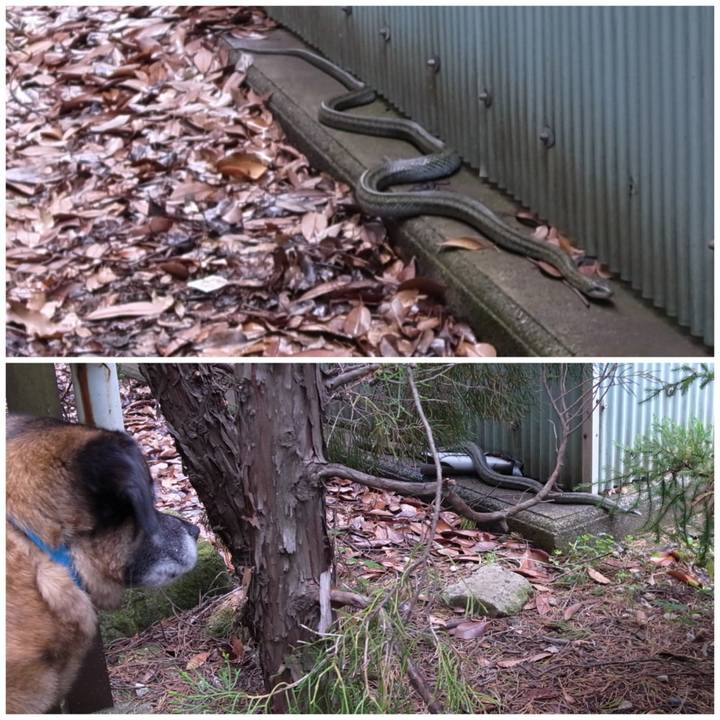 Accfc86c 6303 4195 934c 87cf651c974e 1682470366905