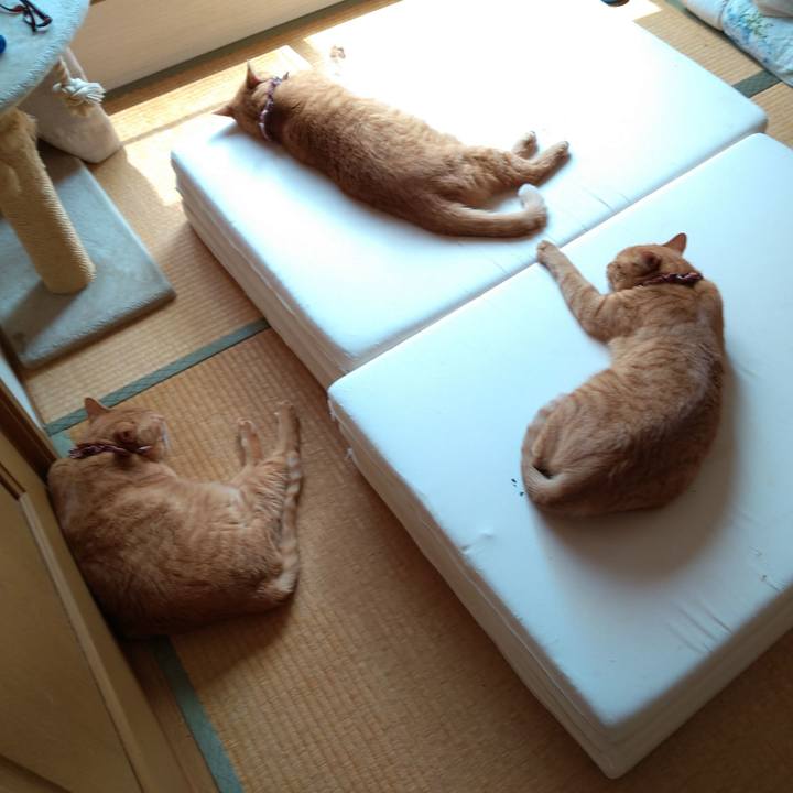 Accfd0b0 c7da 4486 814f 79296266f335 1596426320027