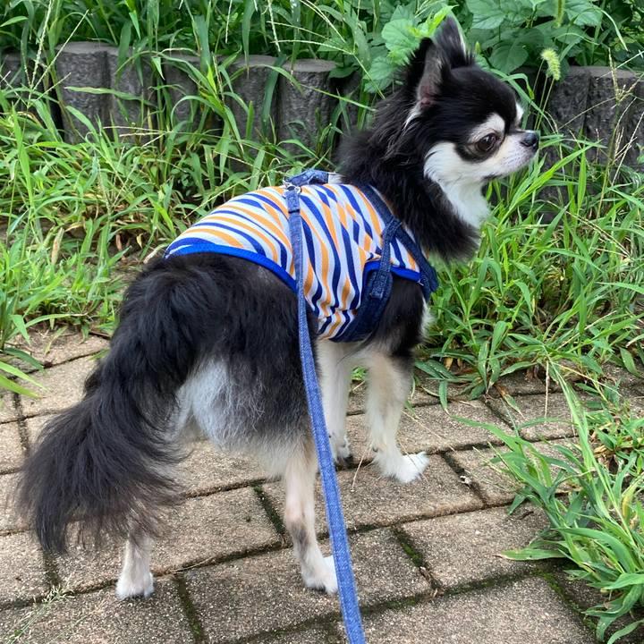 Accff0f2 4ff5 49c6 93a4 b124e4ec91e6 1694878447503