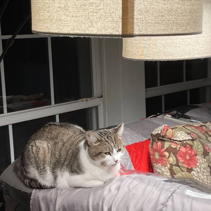 Acd01704 7ec2 47cd bcc4 c413e9164510 1703816032304