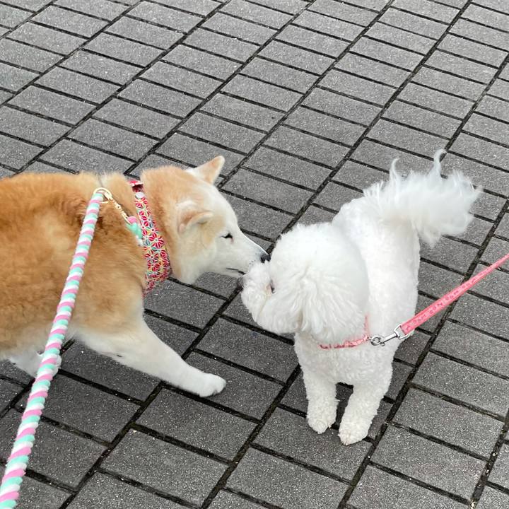 Acd058d4 10e8 4da8 83d6 fa02ca30f7c0 1643242748233