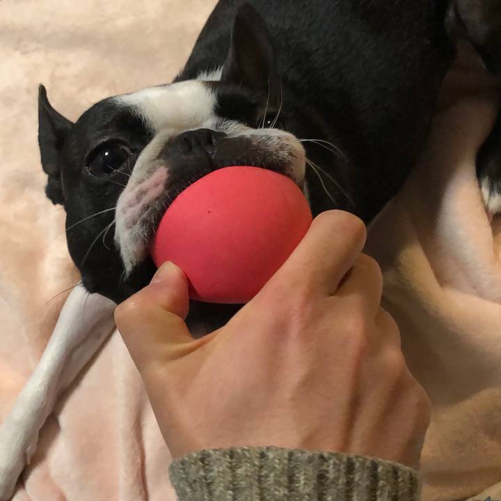 Acd09602 9498 4d09 9ceb a6dafc5a3edf 1610365247929