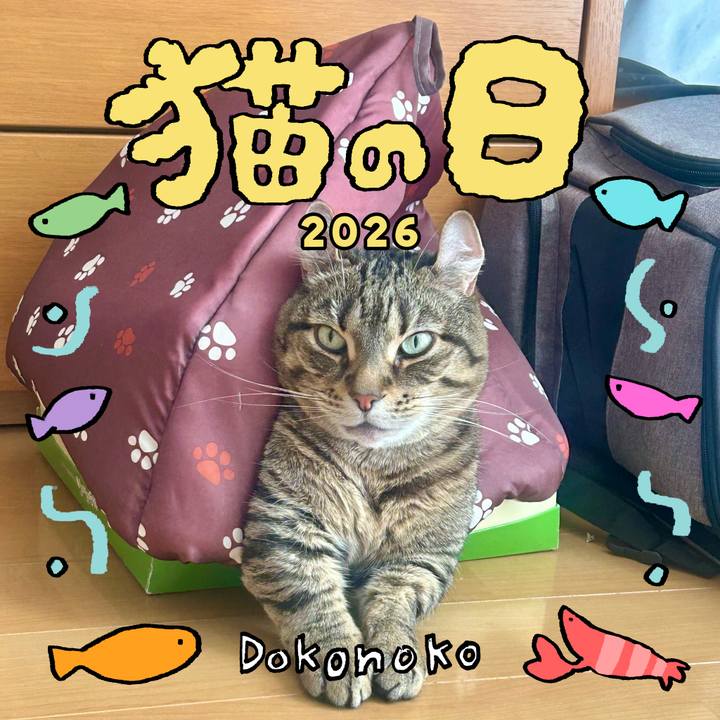 Acd09647 435e 465b b8d9 741edf4178f3 1771799018627