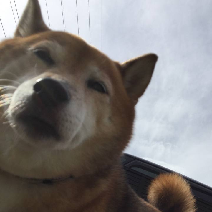 Acd098e0 f021 4a0c 8860 55ab300abaaa 1603158035362