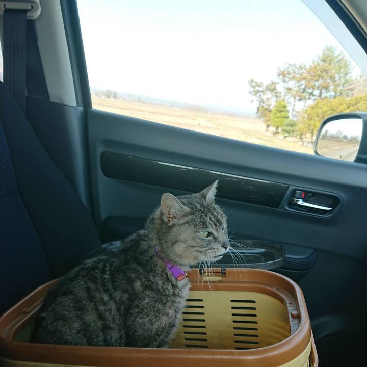 Acd0cc9e 7a31 478e b129 c08787500005 1585619272761