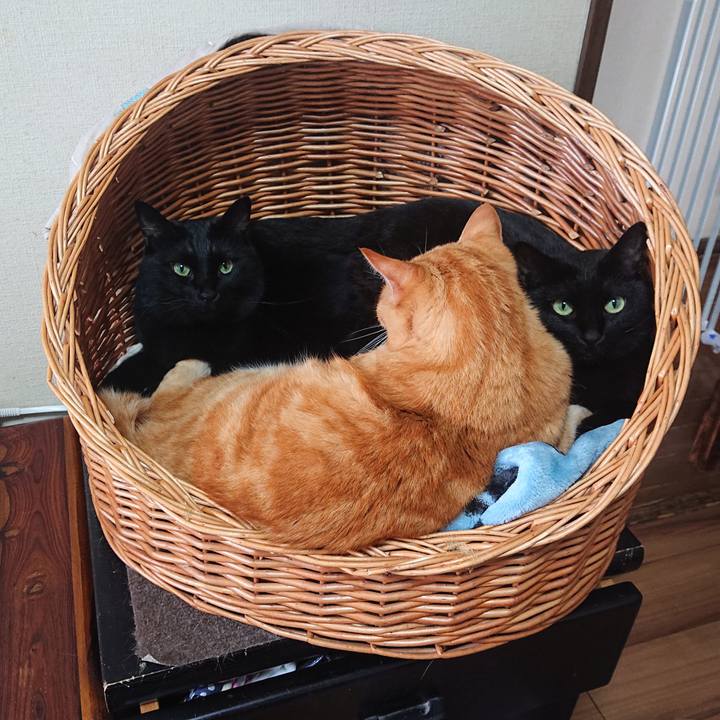 Acd114f1 eea1 419d 8883 d50c021d2aa8 1665888982490