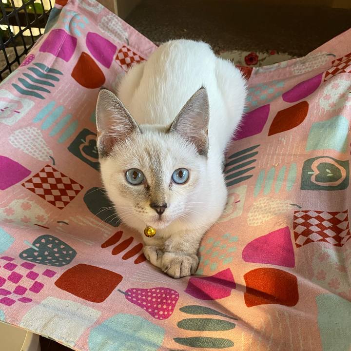 Acd1182c 1d54 409f bbe3 16d75ea7260e 1631146688251