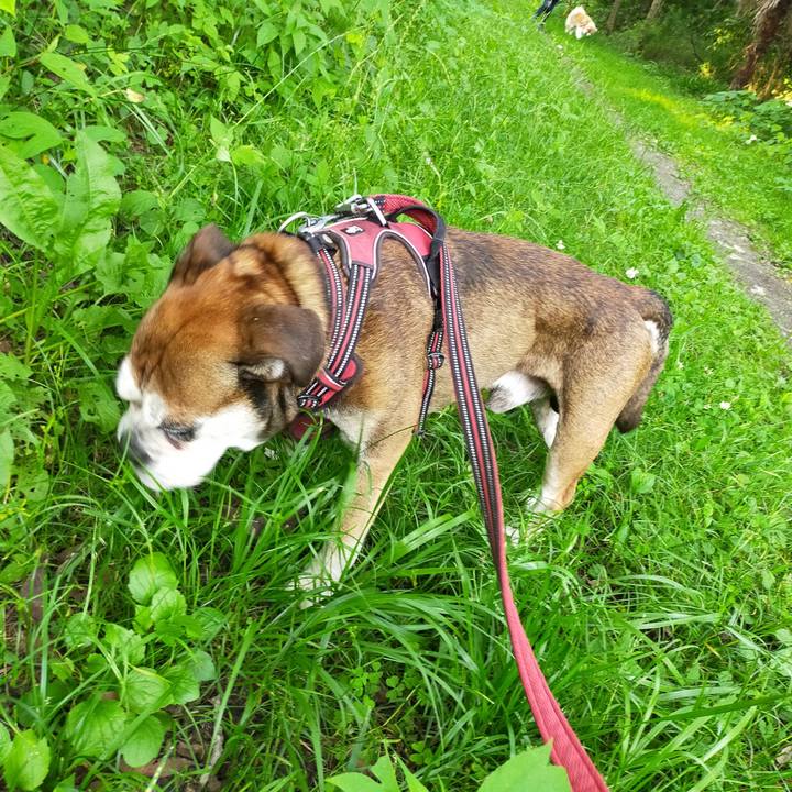 Acd12e0e a40d 4668 986b 69d974956c04 1655644416975